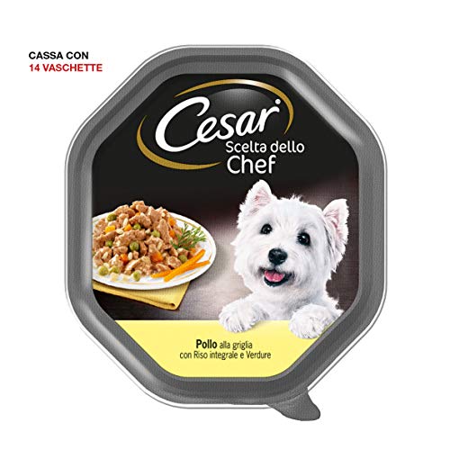 Cesar Elección del Chef - Comida para Perro, delicias de Temporada, 150 g, 14 bandejas