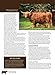 Hobby Farm Animals: A Comprehensive Guide to Raising Beef Cattle, Chickens, Ducks, Goats, Pigs, Rabbits, and Sheep (CompanionHouse Books) Breed Selection, Behavior, Health Care, Breeding, and More