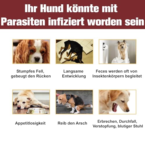 Advanllent Zeckenschutz für Hunde 6 Pipetten, Spot On Zeckenmittel für Extra große Hunde 30 bis 50 kg, Flohmittel Entwurmungsmittel, Gegen Flöhe & Zecken