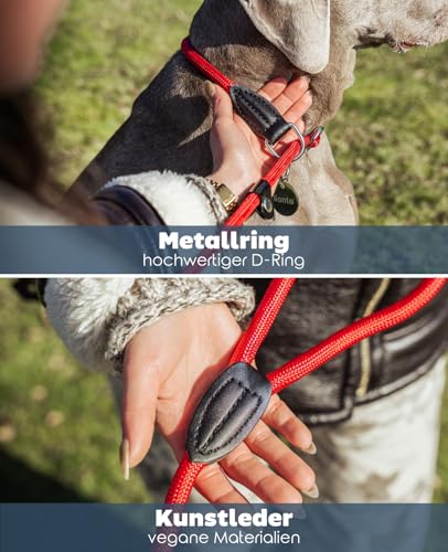 lionto Retrieverleine robust und wetterfest für Hunde Aller Größen, schnell anzulegende Hundeleine und Halsband in Einem, 170 cm, fellschonende Führleine mit integriertem Zugstopp, vegan, rot