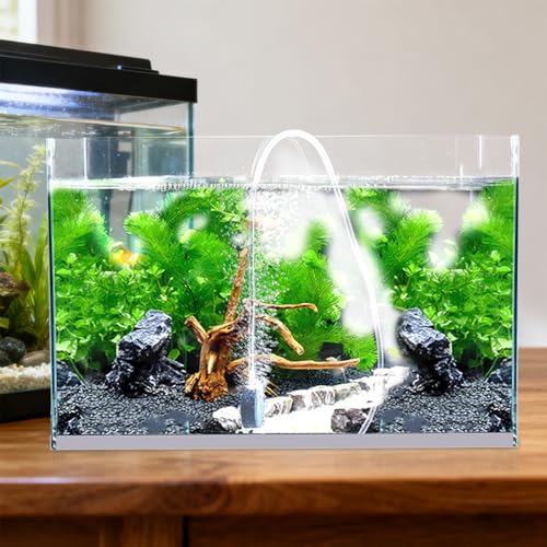 Bulleur oxygène avec accessoires pompe à air aquarium eau douce