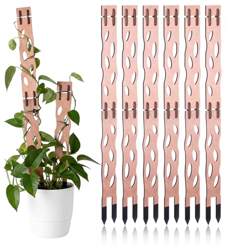 Otoolling 6 Sets Wooden Extendable Plants Trellis Indoor Modular Plant Trellis with Wood Thrive Sign Decor and Extensions for Outdoor Climbing Houseplants Vine Flower Stem (Classical)