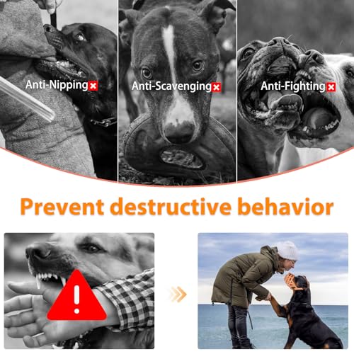 Image of Mayerzon Pitbull Dog Muzzle for Large Medium Dogs Prevent Biting Scavenging | Fits Rottweiler Amstaff Broad-nosed Breed, Sturdy Breathable Basket, Training Walking Use, Allows to Drink | Apricot, M