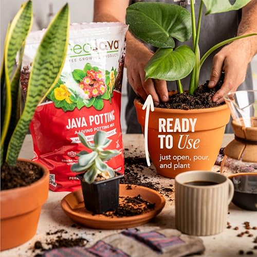 Java Potting Soil Coffee-Infused Mix