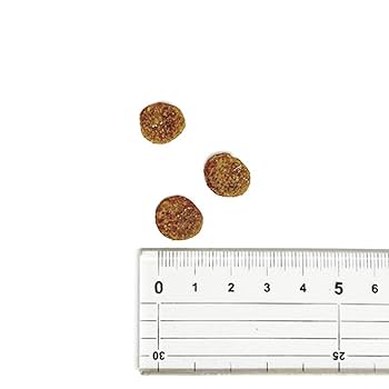 アカナシニアレシピ11.4kg ACANA [正規品] アカナ シニアドッグレシピ 11．4kg