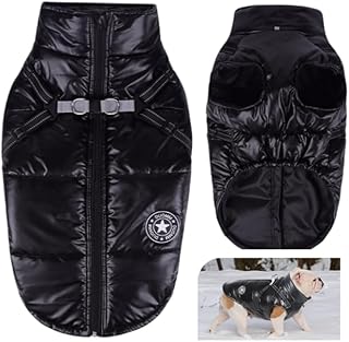 Dog Coat for Small Dogs, Waterproof Dog Jacket Winter, Winter Coat with Harness and Reflector (Black M) product image
