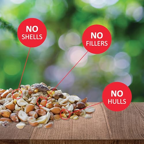 Lyric Woodpecker Wild Bird Seed, No Waste Bird Seed with Nuts, Dried Fruit & Shelled Seeds - 5 lb. Bag - Thumbnail 3
