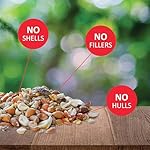 Lyric Woodpecker Wild Bird Seed, No Waste Bird Seed with Nuts, Dried Fruit & Shelled Seeds - 5 lb. Bag - Image 3