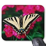  Maus Pad, Gaming Mauspad mit glatter Oberfl?che Kanten f¨¹r Gaming und B¨¹ro,-Western Tiger Schwalbenschwanz Schmetterling Mauspad