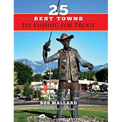 25 Best Towns Fly Fishing for Trout