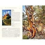 Atlas Obscura, 2nd Edition: An Explorer's Guide to the World's Hidden Wonders Hardcover – Illustrated, October 15, 2019 - Image 5