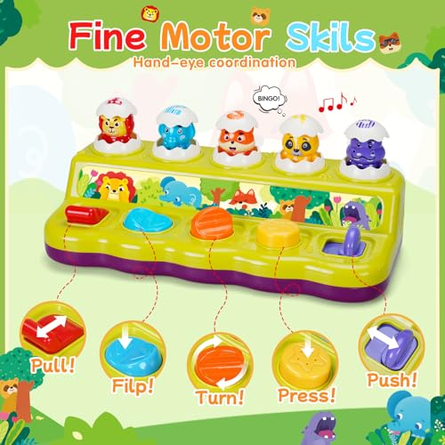 Image of FS Toddler Pop Up Toy with Music and Light, Cause and Effect Toys for 6 9 12 18 Month Old Baby, Early Learning Educational Toys for 1 2 Year Old Boy and Girls Gifts