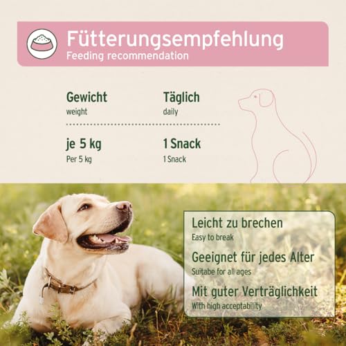 AniForte 4in1 Snack für Hunde 300g - Natürliche Rundumversorgung für Gelenke, Immunsystem, Verdauung, Fell & Haut, Magen & Darm, getreidefrei, bewährt mit Grünlippmuschelpulver, Inulin, Hagebutte