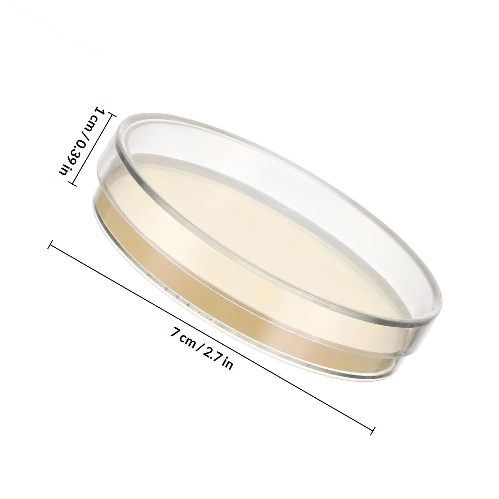 Boîtes de Petri Pré-remplies à Agar 7cm, Lot de 10