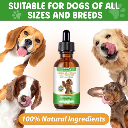 Bibonse Wurm-kur Hund Tropfen, Natürliche Wurm-kur für Hunde mit Probitika, Fördert Die Darmgesundheit, Immunitätsschub, Anti-para-siten, Geeignet für alle Hunde 60ml