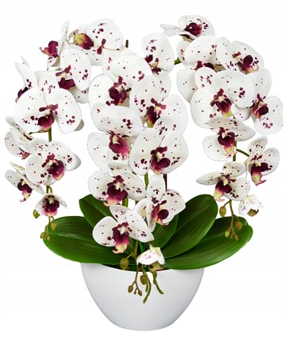 Hochwertige Silikon-Orchidee in Boot-Design - Langlebig und pflegeleicht
