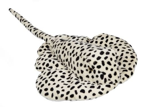 Ravensden Ray 48cm by SportsMarket