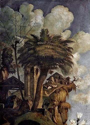 Tableau Vierge à l'Enfant Piero Di Cosimo impression d'art mural 60x90