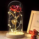 Beauty and The Beast Rose, Forever Rose with Led Light in Glass Dome for Valentine's Day Mothers Day
