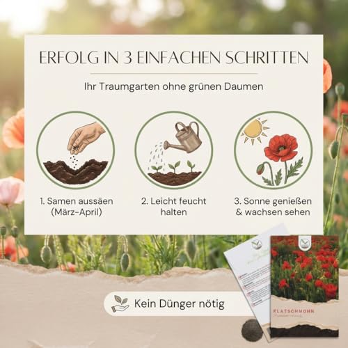 Klatschmohn Samen (Papaver rhoeas) - Wunderschön blühende Mohnblumen mit langer Blütezeit für eine bunte Blumenwiese (Rot)