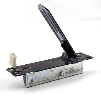 Amazon.com: ICONSPORTSS High-Performance 800W 36V Electric