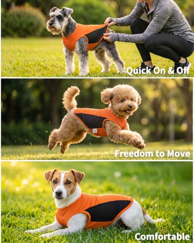 Image of CuteBone Cooling Stretch Sport Dog Tank - Athletic Fan Pet Jersey - Color Block Pet Vest for Small Dogs, Cats