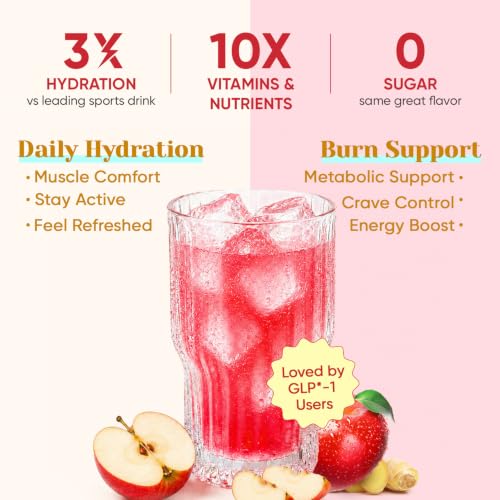 Image of Venture Pal Sugar Free Hydration Packets + Burn Support Electrolytes Powder