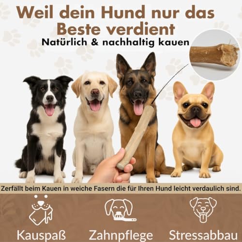 Heygret Kauknochen aus Kaffeeholz für Hunde S - Natürliches Kauspielzeug zur Zahnpflege & Stressabbau - Langanhaltende Beschäftigung mit nachhaltigem Kauholz - Kaustab