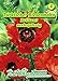 Produktbild Papaver orientale, Türkischer Riesenmohn, Brillant hellrot N.L.Chrestensen