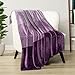 PAVILIA Flannel Fleece Luxury Throw Blanket | Lightweight Soft Microfiber Gradient Ombre Blanket | Decorative Velvet Throw for Couch Sofa Bed | All Season Use | 50 x 60 Inches Purple
