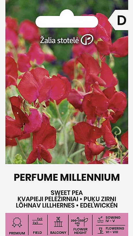 Zalia Stotele | Uisante de olor - PERFUME MILLENNIUM semillas | Semillas de flores | Semillas de plantas | Semillas de jardín | Planta trepadora anual, muy decorativa | 1 paquete
