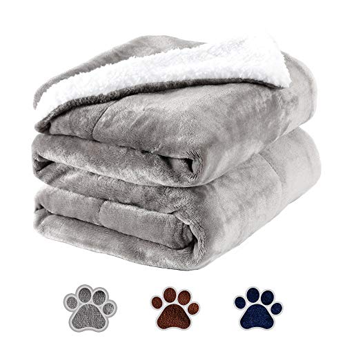 Top 10 Pet Throws Blankets of 2022 Best Reviews Guide