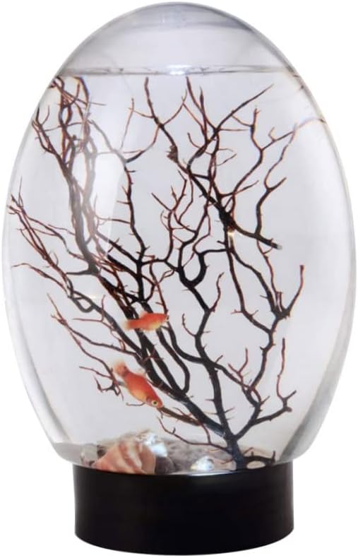 Acquario Da Tavolo Kioball - Piccolo E Trasparente Per Pesci O Tartarughe - Foto 8