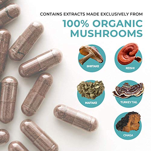 Real Mushrooms Vitamin D2, Zinc (120Ct) And 5 Defenders (200Ct) Bundle - With Turkey Tail, Shiitake, Reishi, Chaga, Maitake - Natural Immune Strength Supplement - Vegan, Gluten Free, Non-Gmo #TOP3