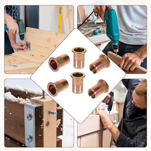 50 Stück ​​Nietmuttern M8​​, ​​Blindnietmuttern​​ aus ​​Kohlenstoffstahl​​ Verzinkt, ​​Flachkopf Innengewinde Rivet​​, Nietmuttern M8 ​​Einziehmuttern​​ für ​​Gewindenieten​​, Industrie, Auto, Möbel