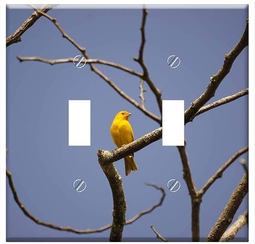 Switch Plate Double Toggle - Nature Birds Barcelona Quindio Colombia 1