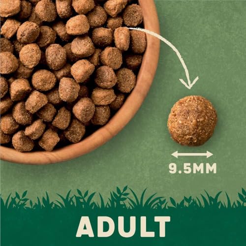 Harringtons Complete Dry Adult Dog Food Lamb & Rice 15 kg - Made with All Natural Ingredients - Image 6