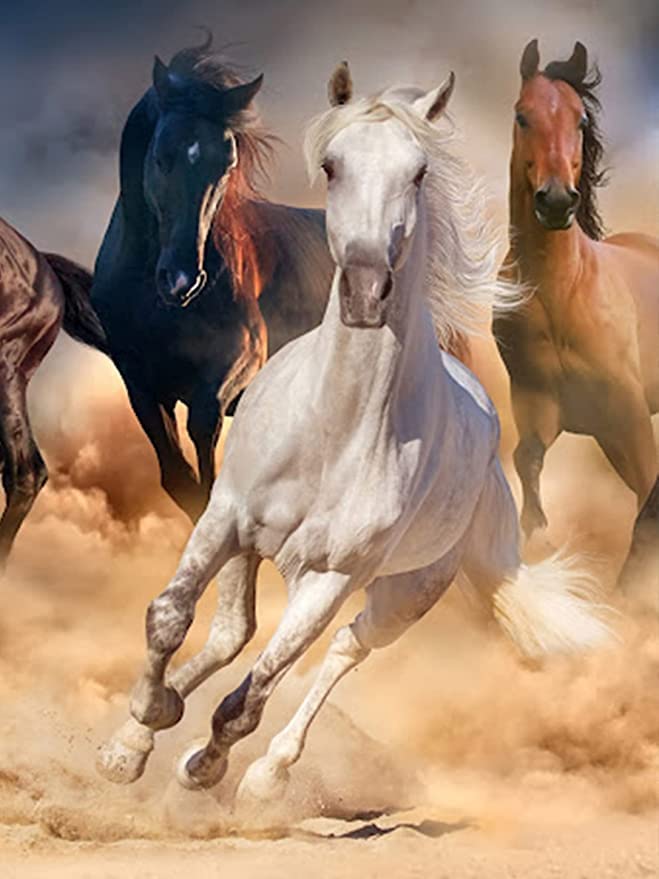 Yeerum DIY 5D Diamond Painting Cheval, 5D Diamant Painting Animal Full Painting par numéros Adultes Broderie Strass Point de Croix Art Déco 30x40cm