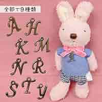Amazon.co.jp: うさぎのルシュクル（le sucre）・チャーム付きお