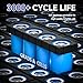 XZNY Compact 12V 12Ah Lithium Battery, Rechargeable 12V LiFePO4 Battery Built-in 20A BMS, 12 Volt Deep Cycle Battery Perfect for UPS System, Replacement SLA, Ham Radio, Water Pump, Solar System