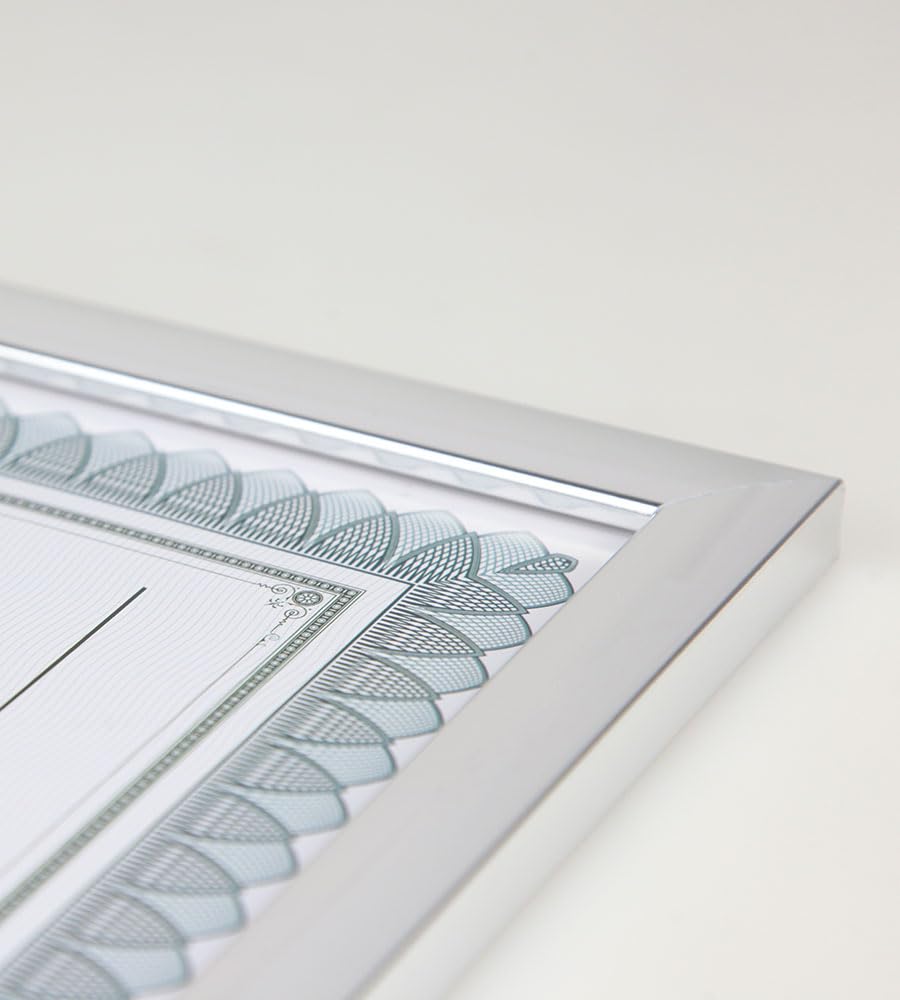IDEAL TREND 2er 3er 5er 10er Pack Dokument Bilderrahmen 21x29,7 DIN A4 Urkunde Foto Rahmen: Farbe: 10er Pack Silber