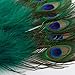 BABEYOND Roaring 20s Vintage Style Peacock & Black Marabou Feather Fan Flapper Accessories for Costume Halloween Dancing Party Tea Party Variety Show (Dark Green-White Rib)