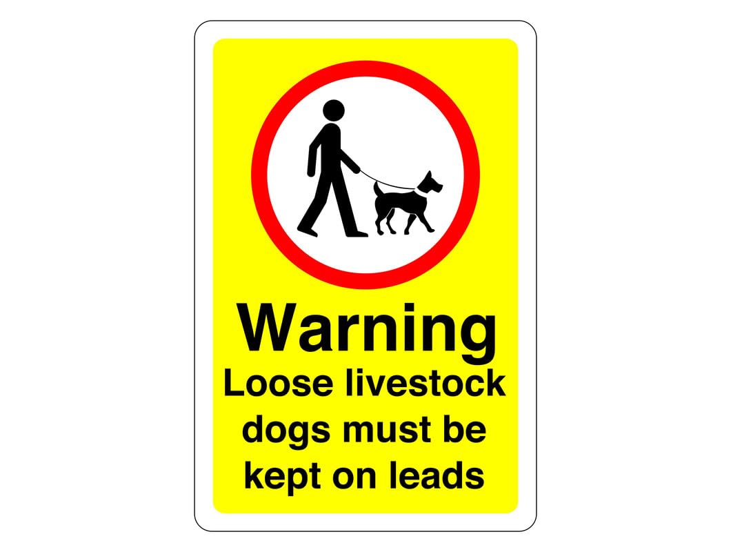 Safety First Display LTD Warning loose livestock dogs must be on leads sign - 1.2mm Rigid plastic for indoor/outdoor usage (400mm x 300mm) Viewing Distance within 14m.
