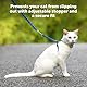 PetSafe Come with Me Kitty Geschirr und Bungee Katzenleine, Größe M, Lila