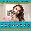 Woyamay Cat Calming Diffuser Refills - Cat Pheromones Calming Diffuser for Cats Relieve Anxiety & Stress, 2-Month Supply Cat Pheromone Diffuser Refills (Fits All Common Diffuser