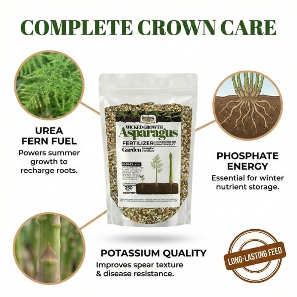 Old Cobblers Farm™ Wicked Growth Asparagus Fertilizer – Balanced Formula for Healthy Spears & Strong Root Growth – Supports Early Season Growth (5 lbs | 10 lbs | 15 lbs | 20 lbs) (5 lbs)