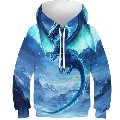 Sweat à capuche Frost Dragon pour ado de 13-15 ans idéal pour le collège