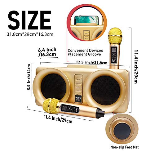 Karaoke Machine, vamvo VF-301 15W2 rechargeable Bluetooth Speaker with 2 Wireless Microphone, Portable PA Speaker System For Kids & Adults