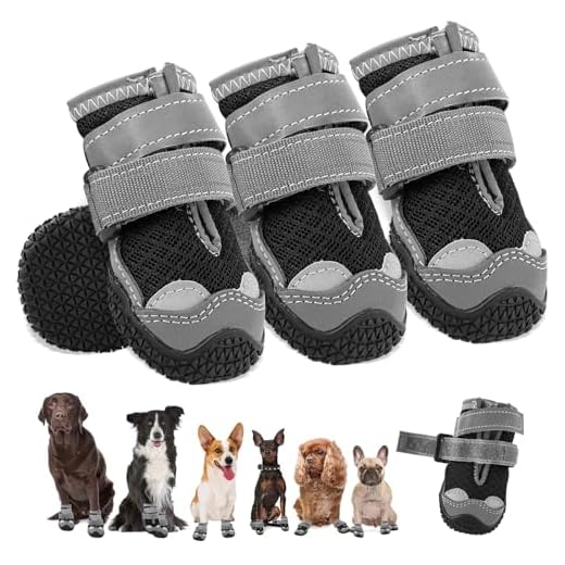 Bottes pour Chien Bottes pour Chien Respirantes avec Griffes antidérapantes Bottes pour Chien réfléchissantes pour la Neige et la randonnée (4)