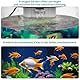 Fish Tank Nachtlicht, Zingbabu 3 Gallonen Aquarium Starter Kit mit vollem Spektrum Aquarium Licht und Filter für kleine Fische Betta Kinderzimmer Desktop Dekor Weiß